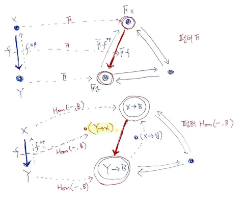 Contravariant도 항상 같이 있다.