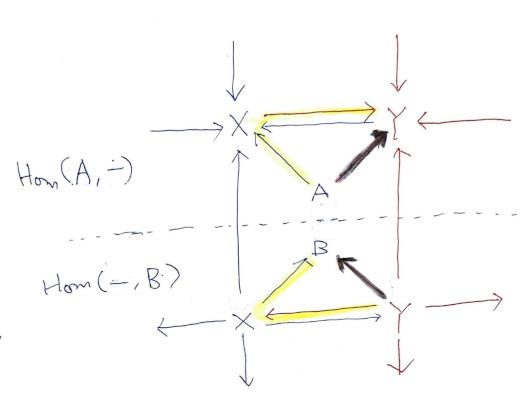 Hom(A,-)와 Hom(-,B)